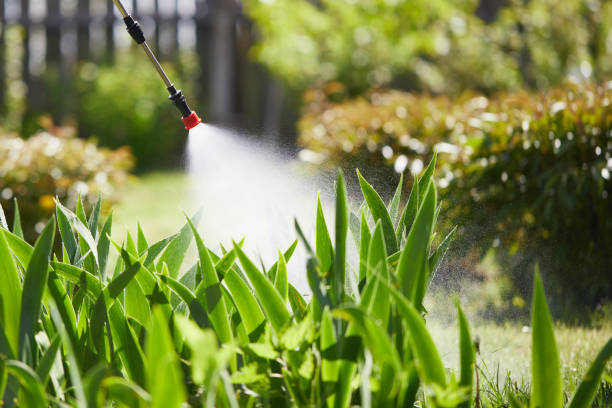 24/7 Emergency Mosquito Control experts in Adwolf, VA