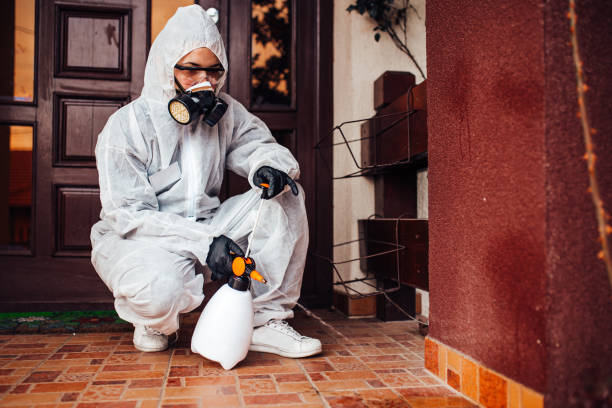 Reliable Mosquito Control contractor in Adwolf, VA by Show Me Pest Control